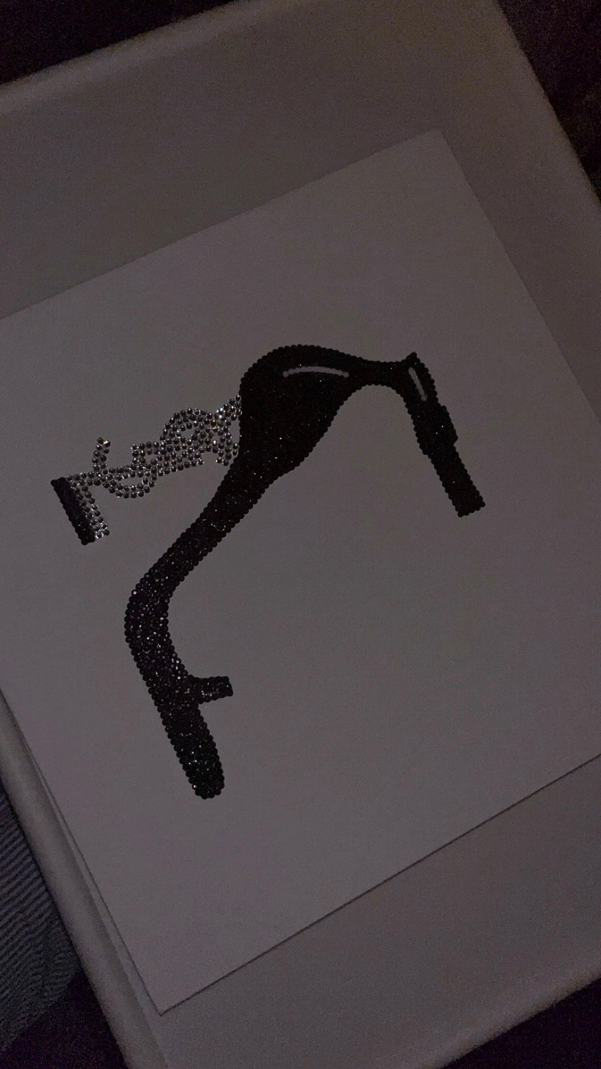 Black and silver YSL heel