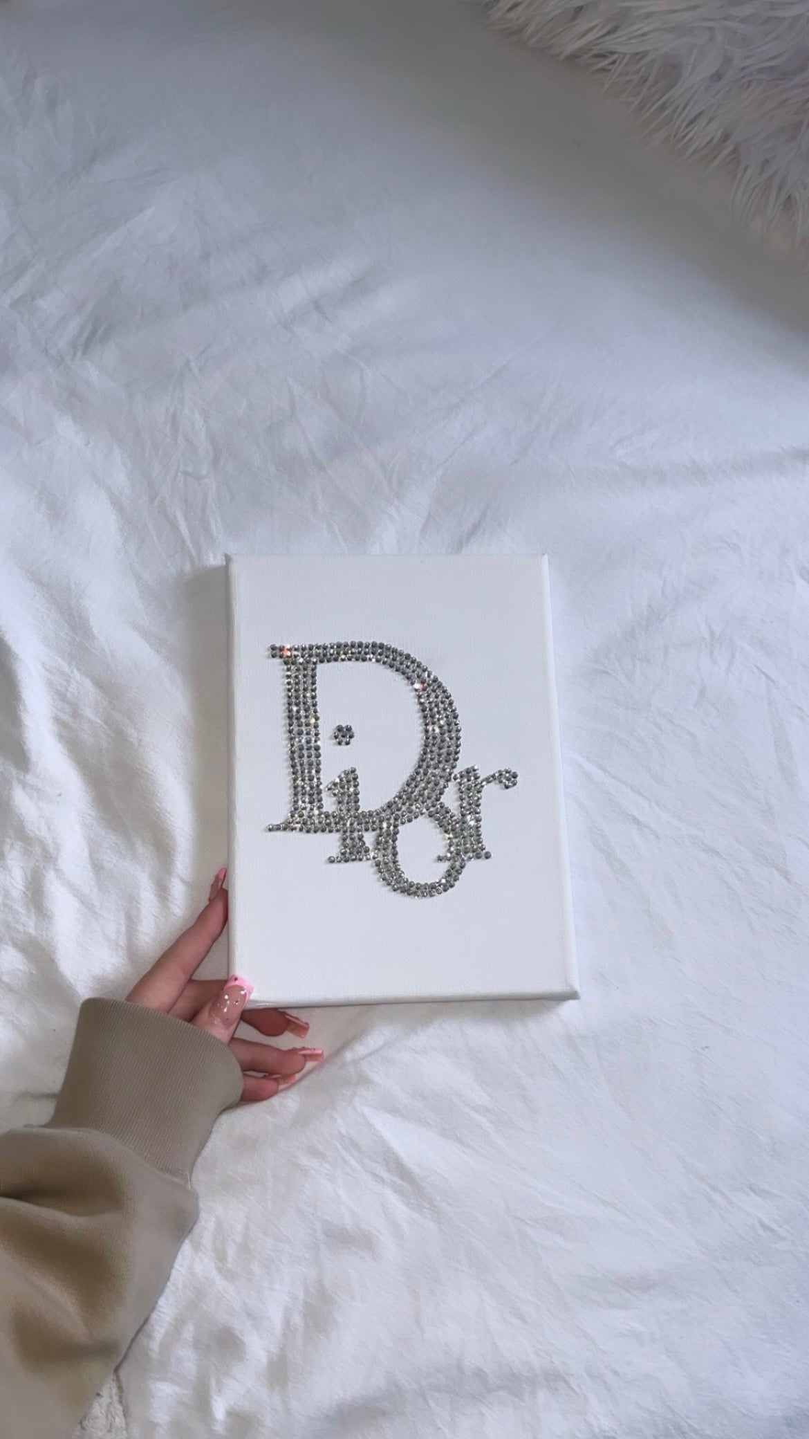 Silver Dior logo