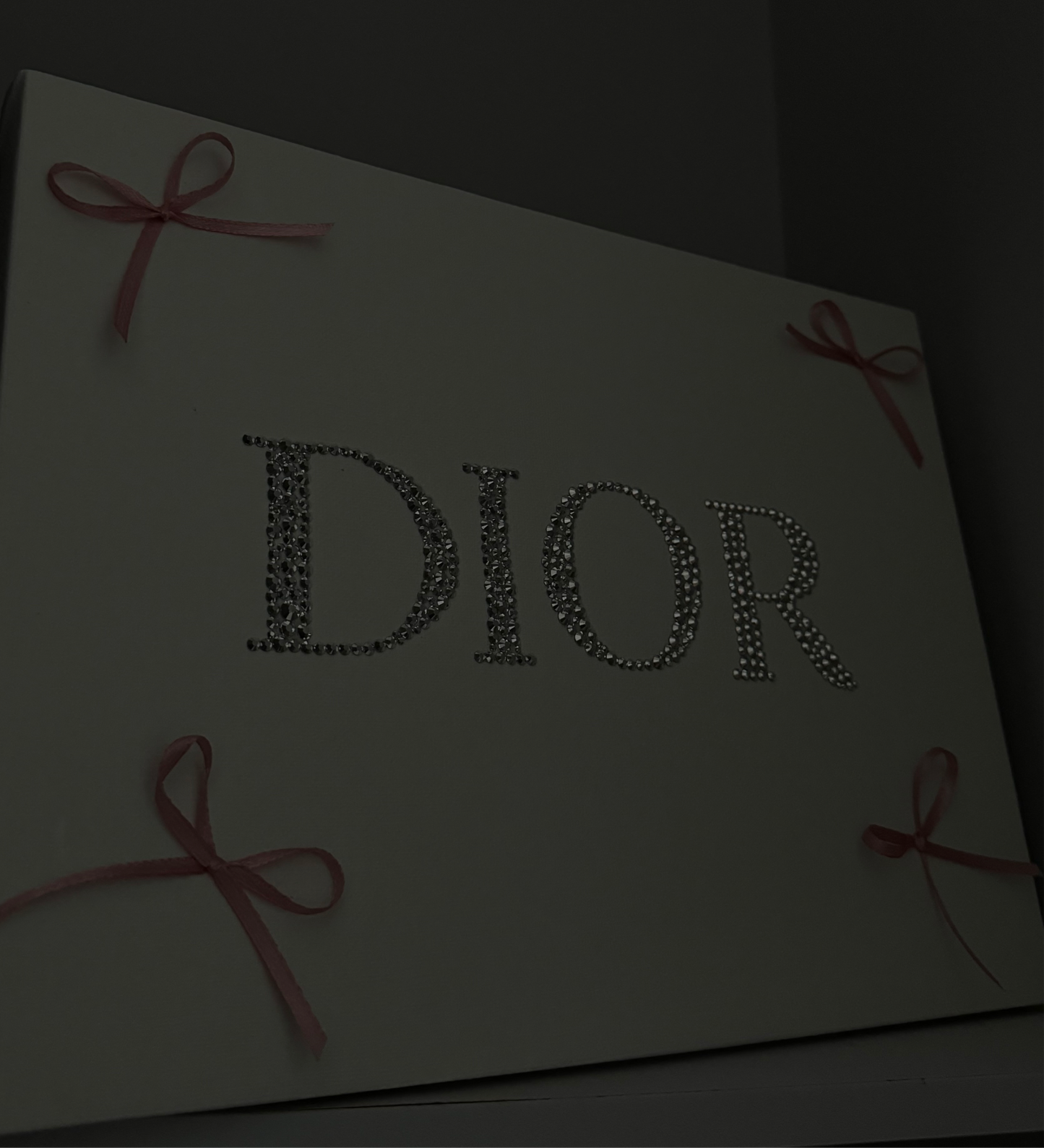 Dior bow gem canvas