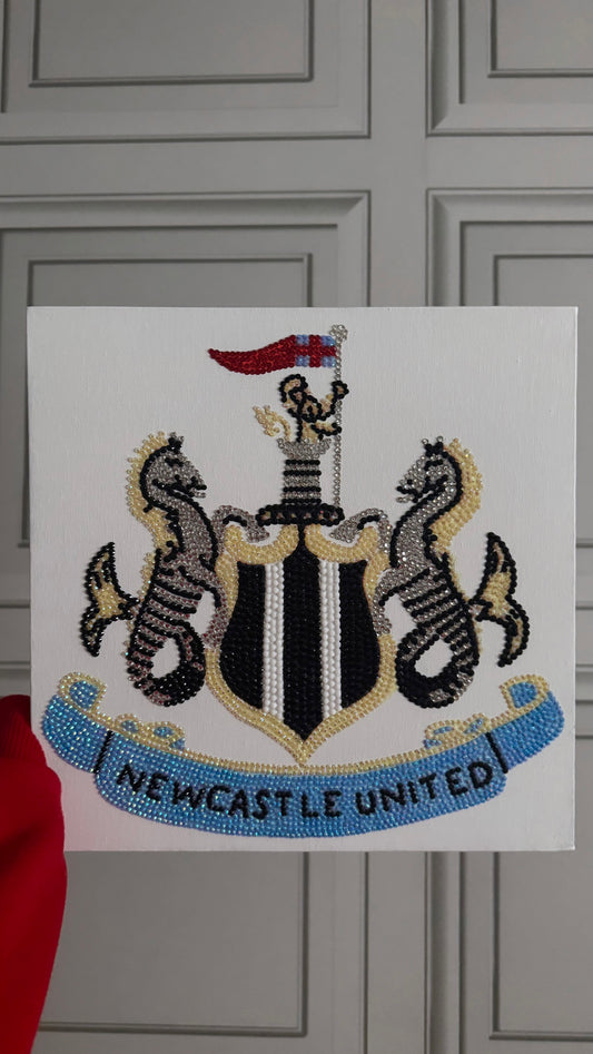 Newcastle United gem canvas