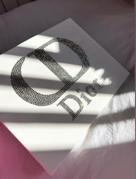 Silver dior gem canvas
