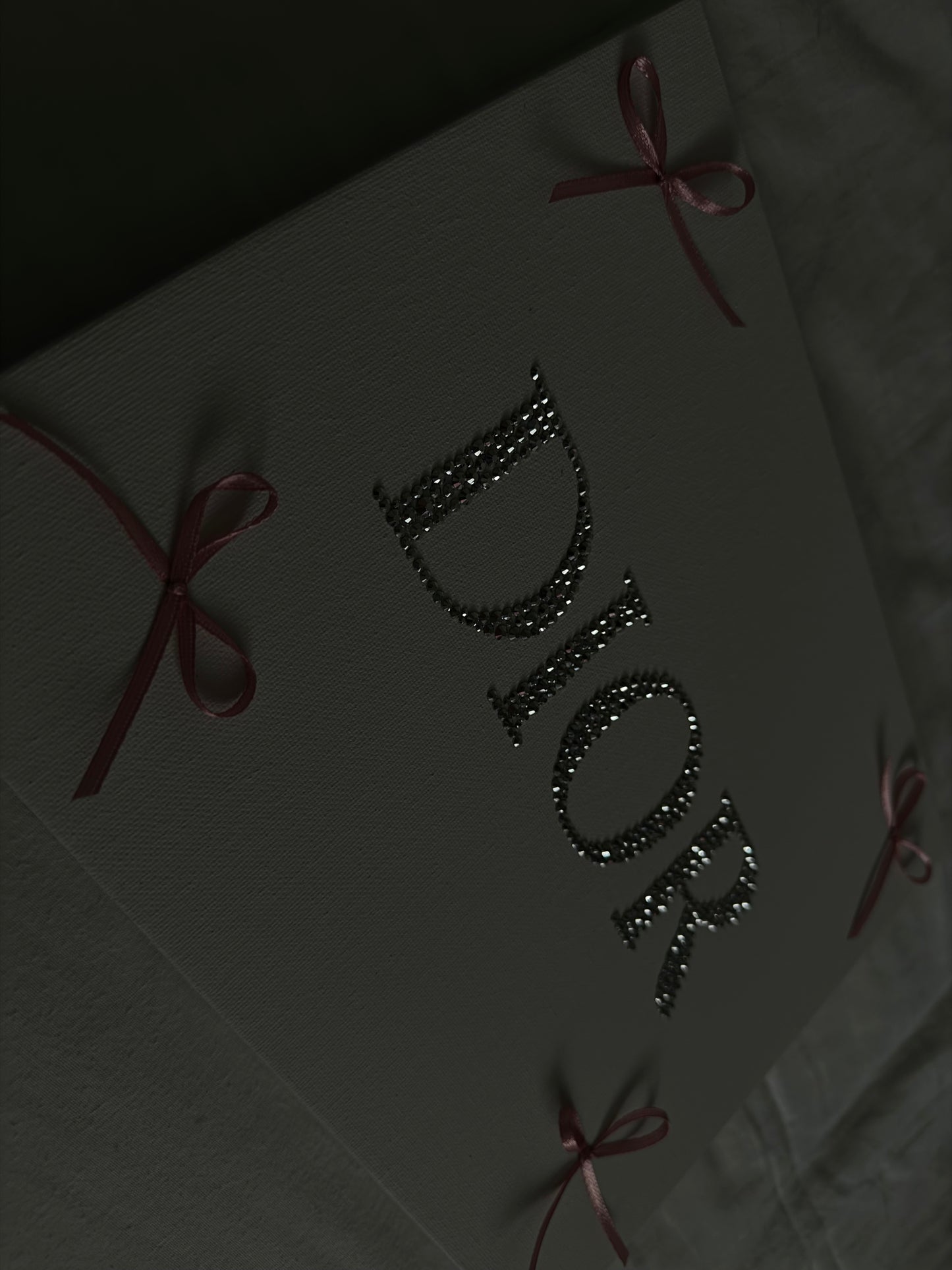 Dior bow gem canvas