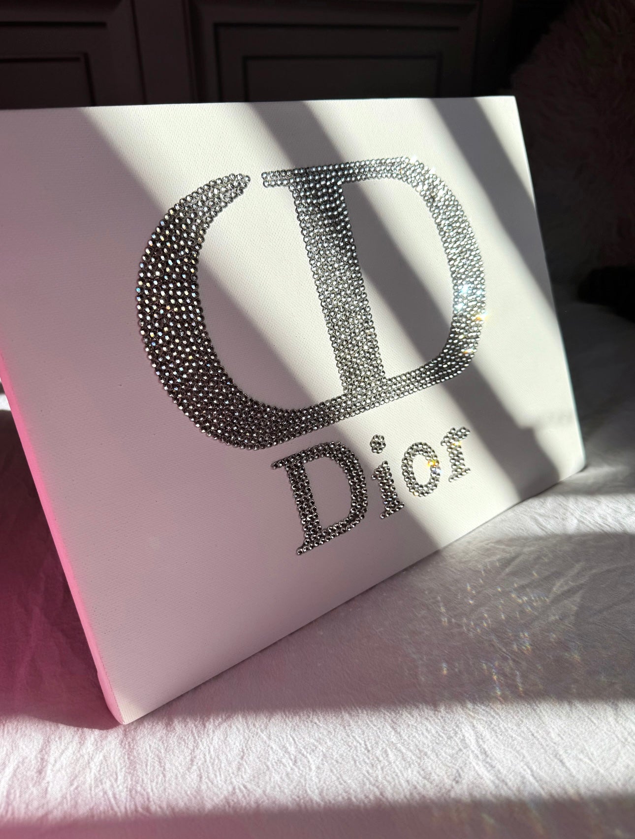 Silver dior gem canvas