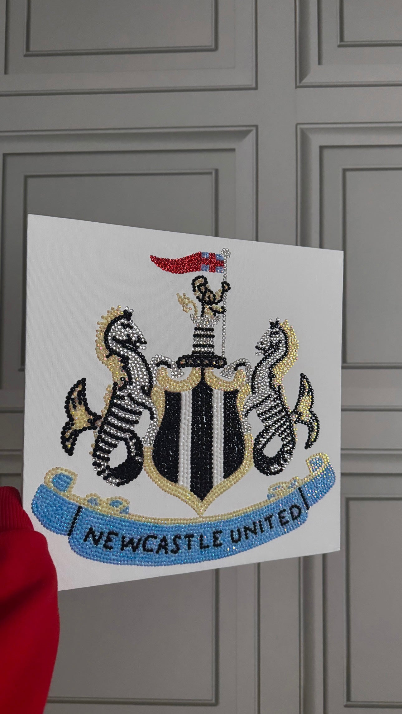 Newcastle United gem canvas