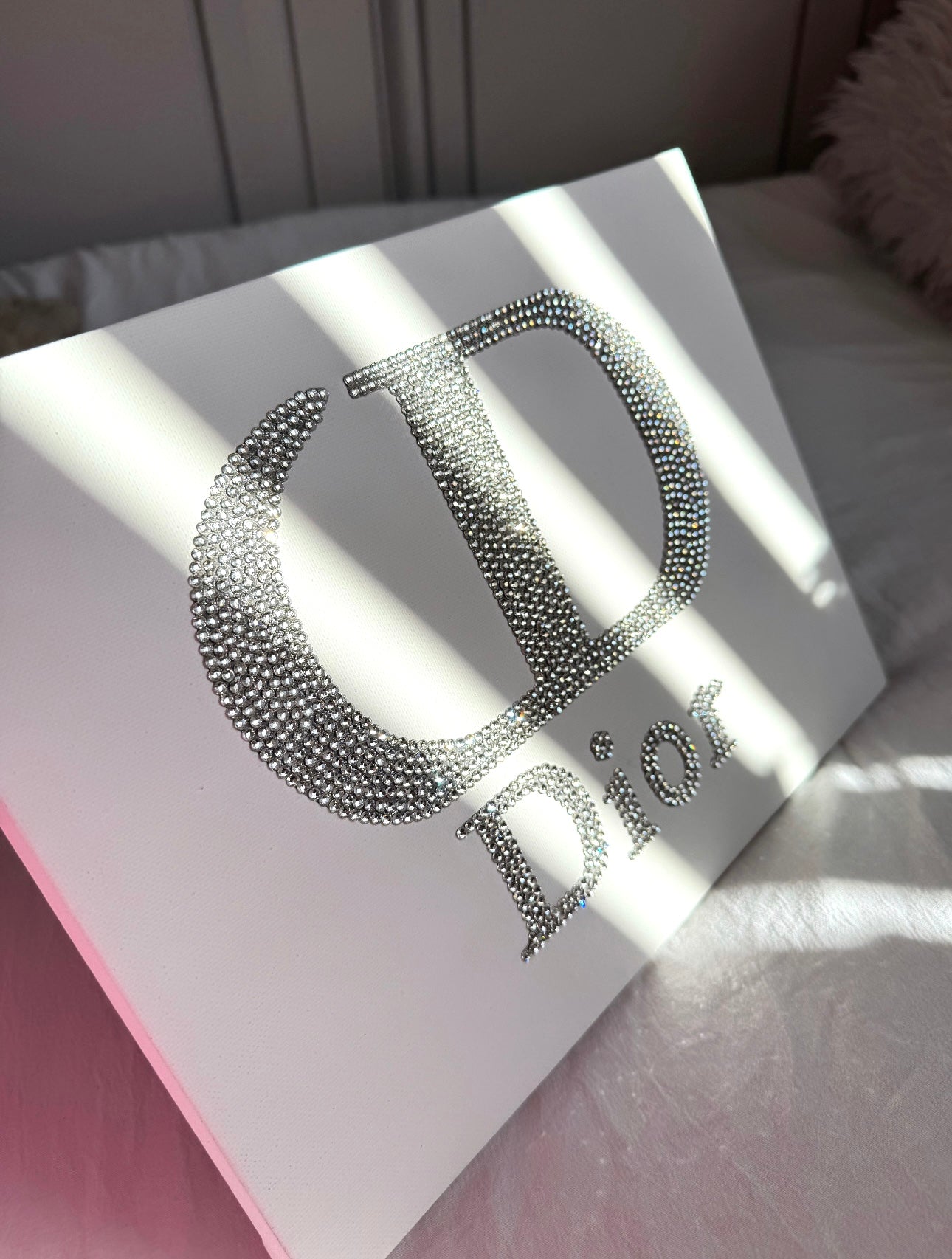Silver dior gem canvas
