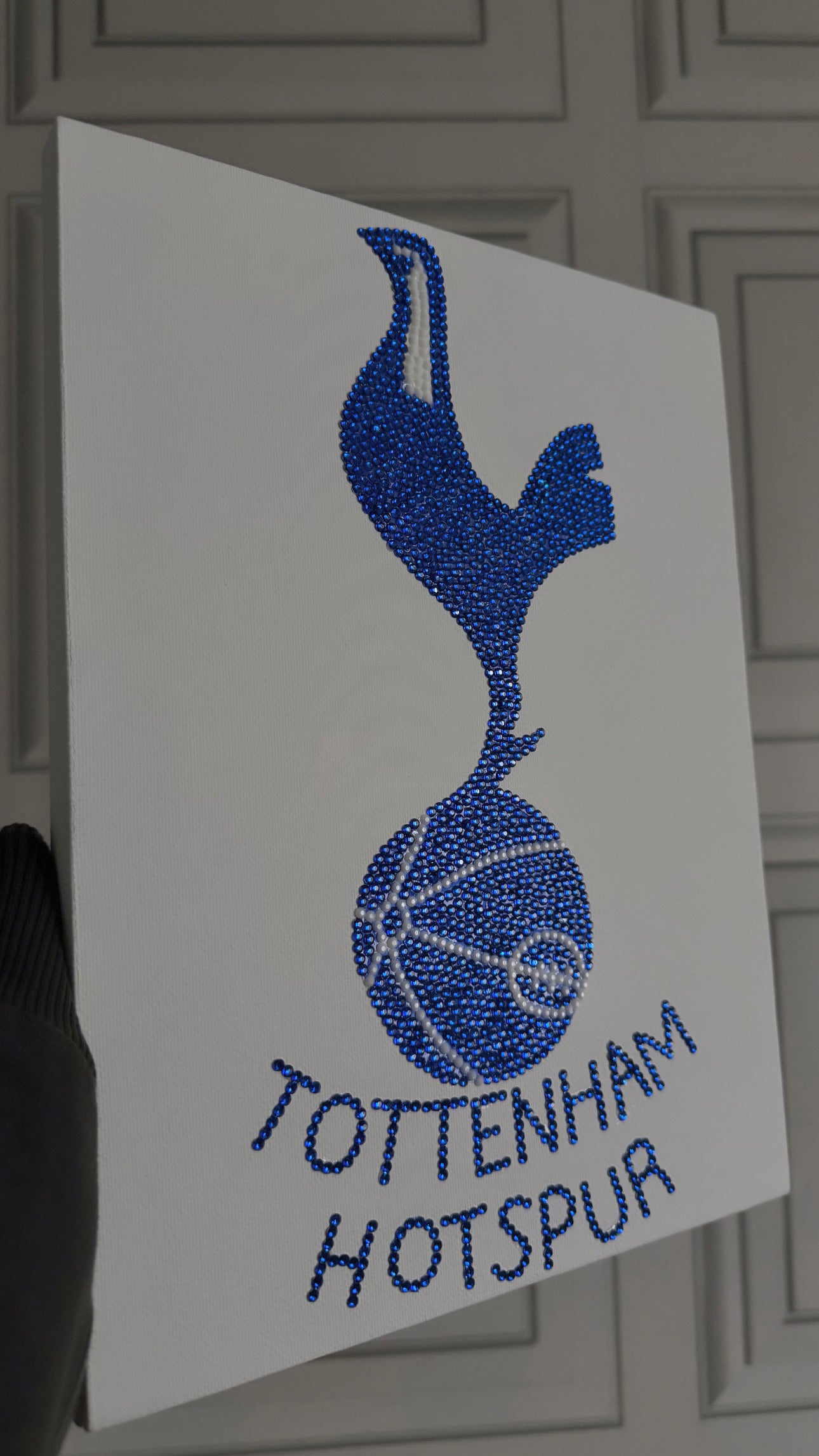 Tottenham Hotspur gem canvas